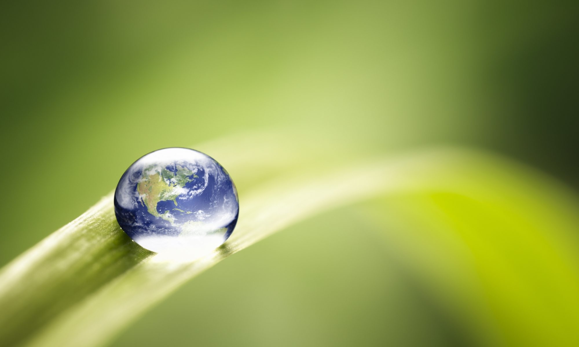 Tardigraz Technologies